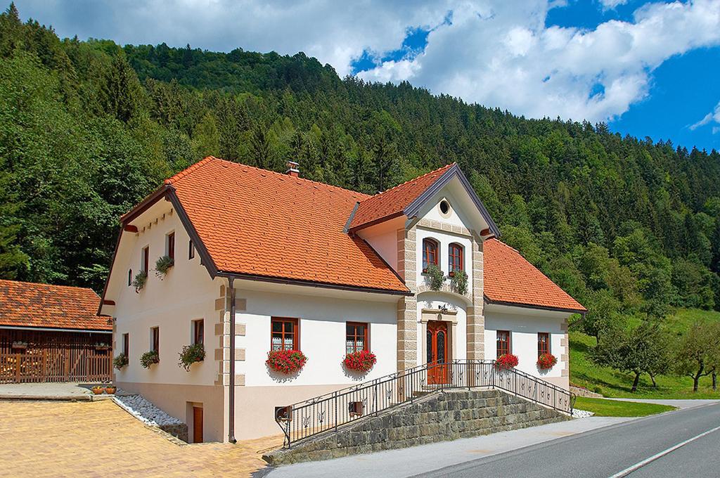 Farm Stay Bukovje Ljubno Extérieur photo