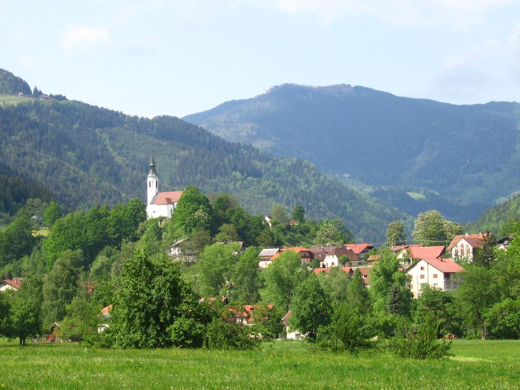 Farm Stay Bukovje Ljubno Extérieur photo